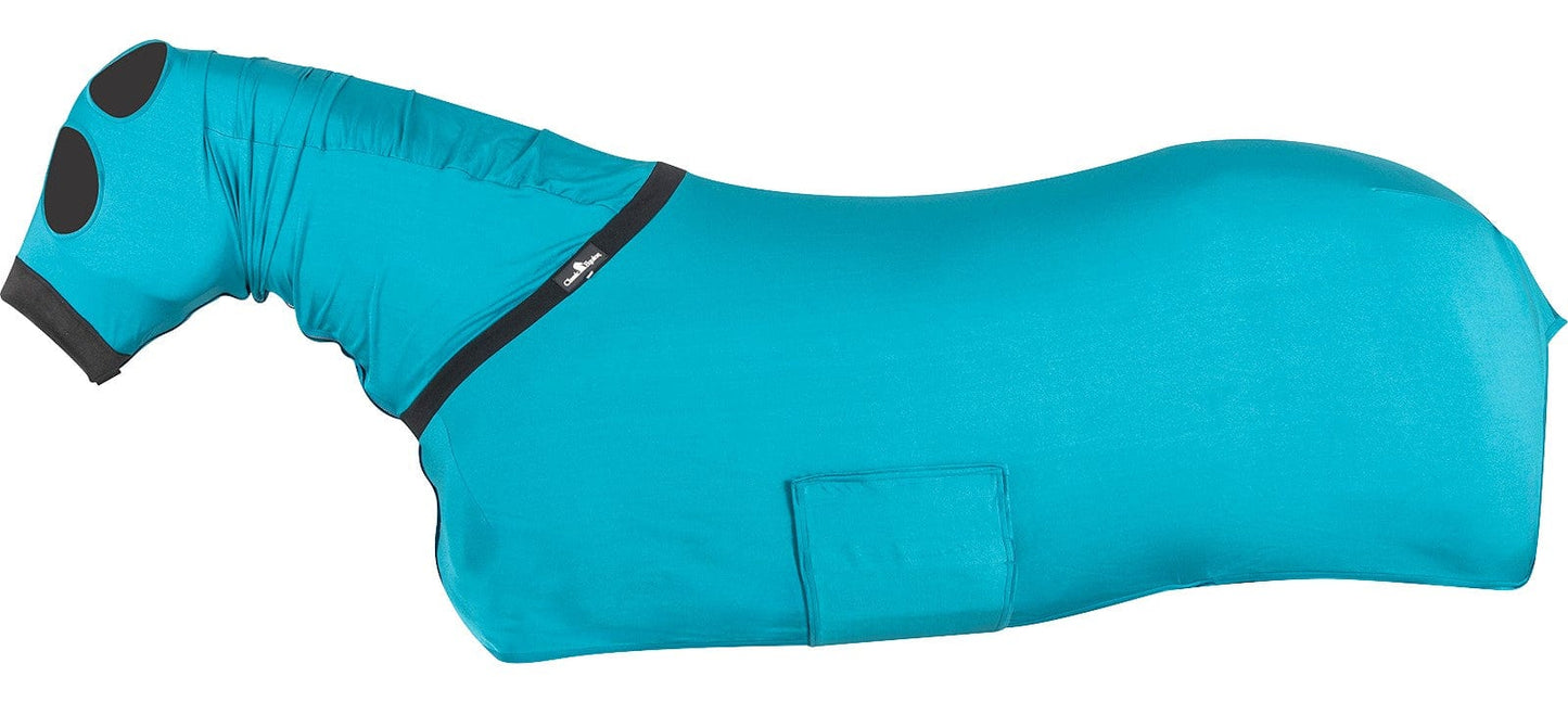 CLASSIC EQUINE TACK TACK + SUPPLIES TEAL FULL BODY SLINKY