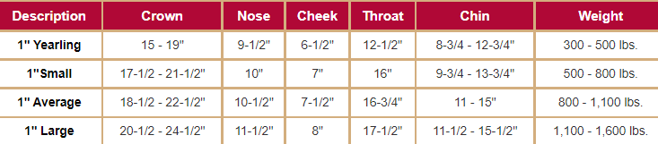 WEAVER LEATHER TACK ORIGINAL ADJUSTABLE CHIN & THROAT SNAP HALTER