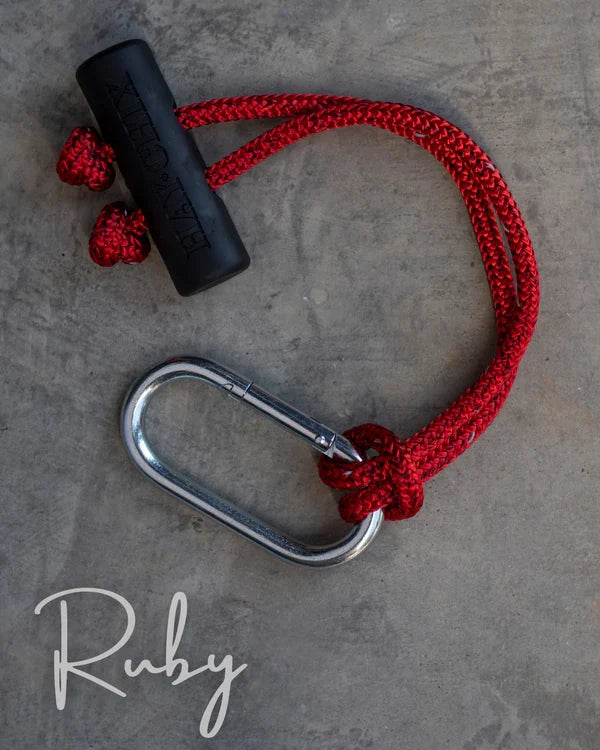 Horse Tack & Accessories