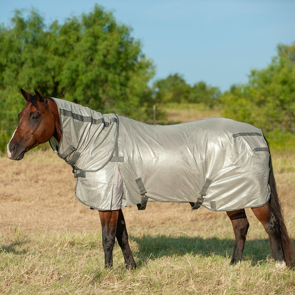Fly Protection