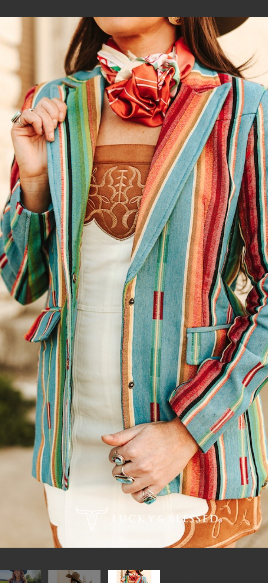 Jacquard Woven Jade Serape Button Down Blazer